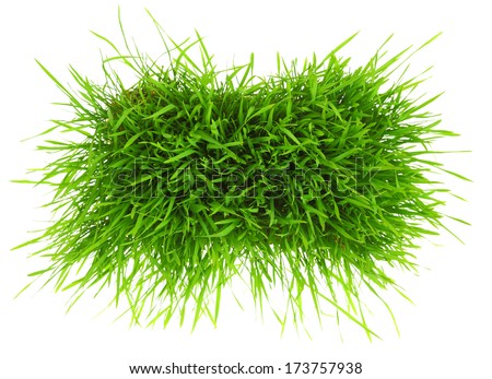 Patch of green grass isolated on white background