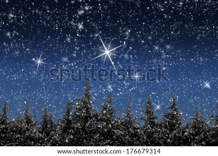 Beautiful winter landscape with snow covered trees at night