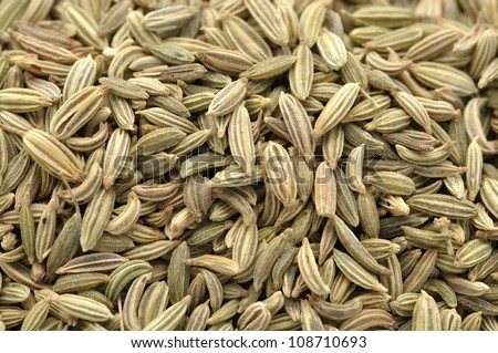 Macro closeup of pile of raw fennel seeds