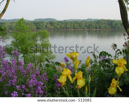 Flowers & River