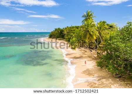 Vacation on the remote Caribbean sandy beach under the palms.