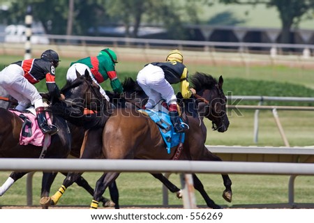 Thoroughbred horse race