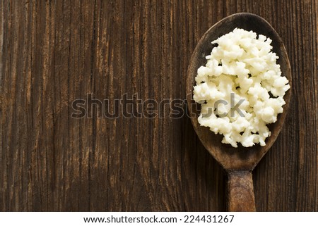 Milk kefir grains on a wooden spoon overhead shot
