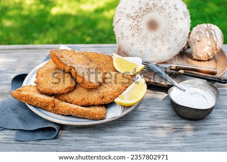 Image, Stock Photo Edible mushroom Macrolepiota procera