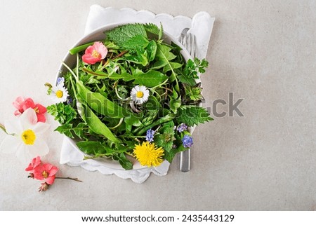 Similar – Image, Stock Photo Herbs and salad in a raised bed. More vegetable beds in the background Gardening