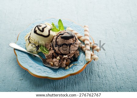 Chocolate and vanilla Ice cream on a plate