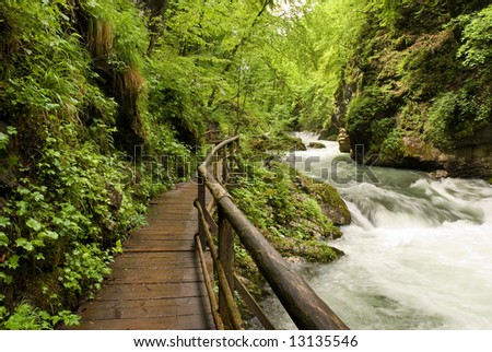 wooden path trough beautiful canyon with river