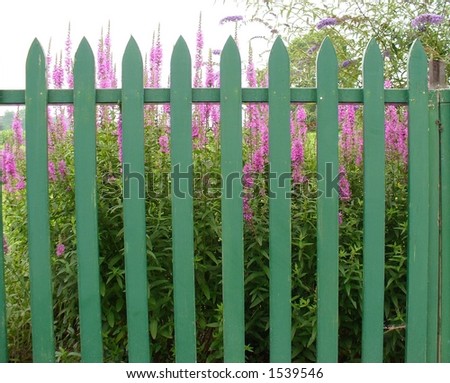 picket fence and flowers