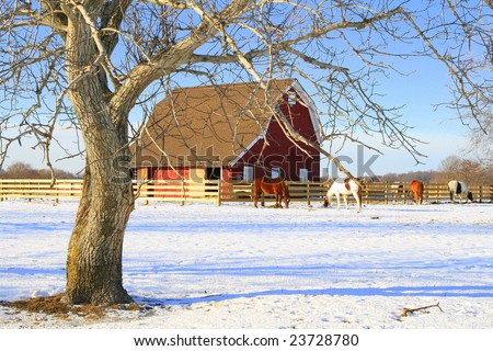 horses, barn, and snow make a beautiful picture