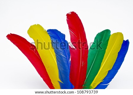 colorful feathers - popular craft material and cladding material in the carnival season