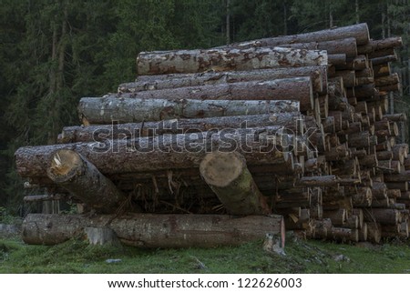 Mighty from countless trees existing timber pile