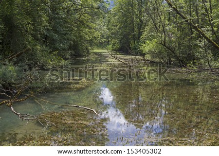 Pure nature at Tegernsee inflow Weissach