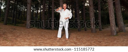 Panoramic shot of meditating senior man in forest. Tai-Chi. Dressed in white. Peace of mind. Finding balance. Inner rest. Healthy retired living.