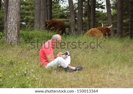 Senior retired man sitting with tablet outdoors in meadow. Scottish highlander cows in background.