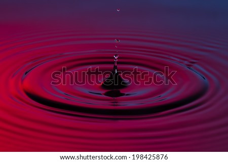 Water drop close up with concentric ripples on colourful blue and red surface