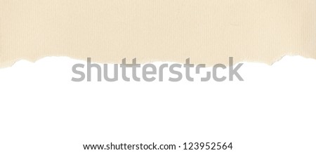 Beige textured paper with torn edge on white background