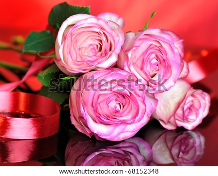pink roses for holiday