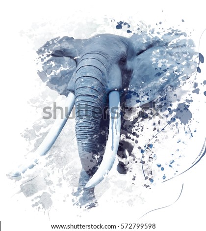 Digital Painting of  Elephant Portrait 