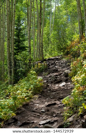 Similar – Image, Stock Photo Karg forest Forest