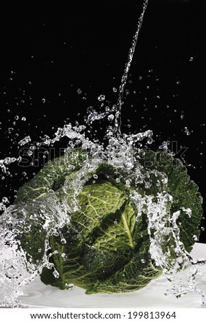 Savoy cabbage under jet of water