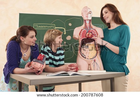 Teacher holding model of human body explaining students