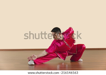 Kung Fu, Changquan, Pubu zhachang, Long Fist Style, Young man practicing martial arts