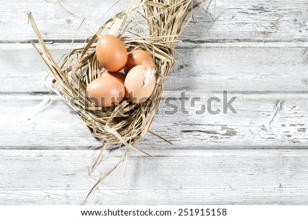 Easter nest, eggs in straw
