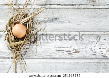 Easter nest, egg in straw