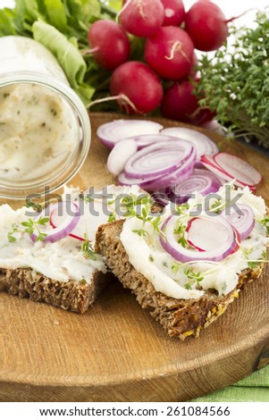 Lard bread with red radish, onion rings and cress