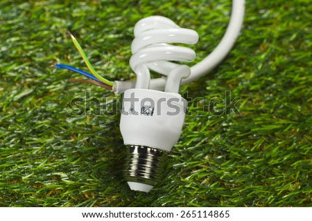Energy saving lamp and power cable on grass