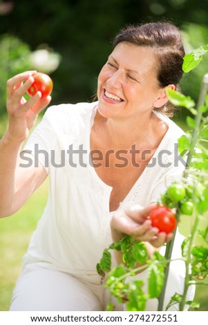 Woman plucking tomatoes in garden