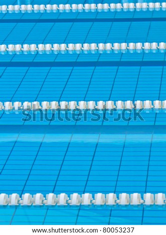 Swimming lanes in an official size swimming pool