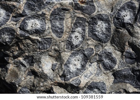 closeup of surface orbicular granite block, Finland