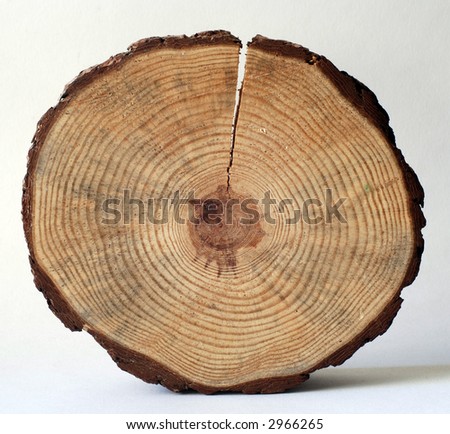 wooden circle with a split cut of the log