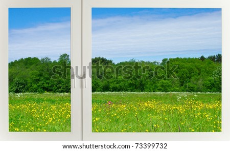 View to the meadow through modern plastic window