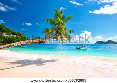 Beautiful Beach