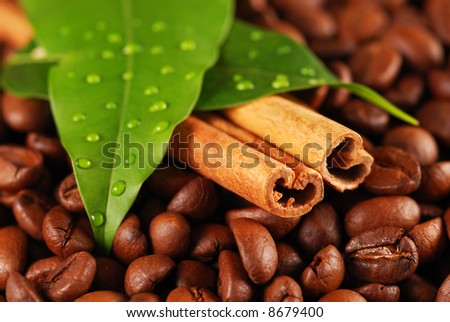 Coffee beans and cinnamon with leaves