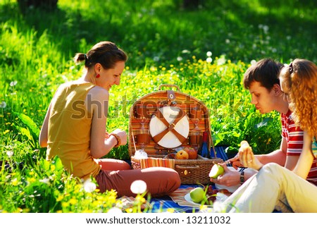 Friends on picnic at sunny day