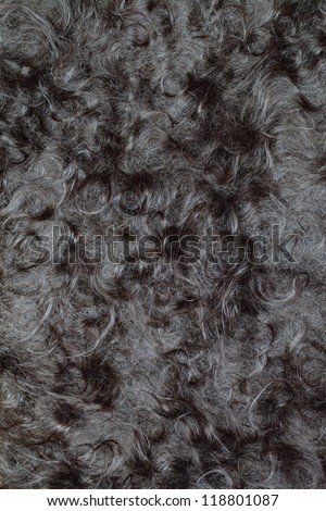 Angora goat wool background