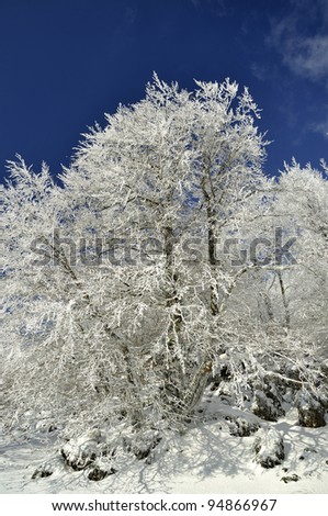 Winter snow and ice landscape