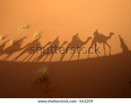 Shadow of a caravan in the Sahara desert (Three Wise Men)