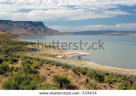 Photograph of Abert Lake in South-Central Oregon, USA