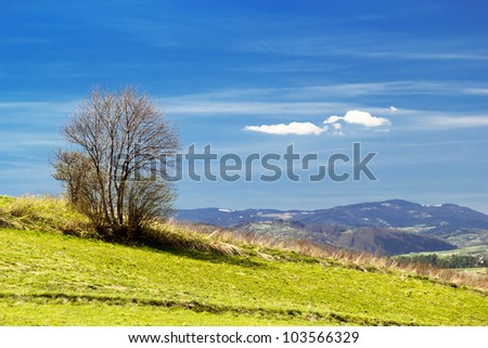 Mountains in Spring