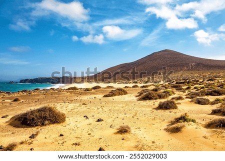 Similar – Image, Stock Photo water in lanzarote  stone sky cloud beach   musk    summer