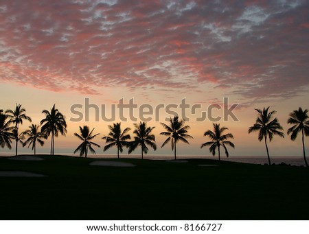 sunset on golf course with sand traps and silhouette of palm trees