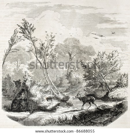 Ambush In Roe Hunting Old Illustration. Created By Lallemand, Published ...