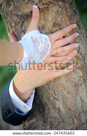 Just Married Hands; a male and a female hands joined together on a tree