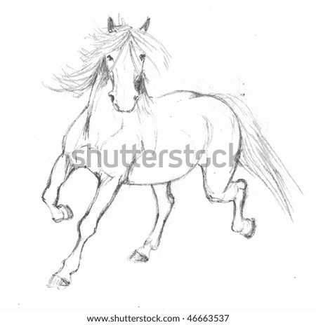 Horse Sketch Stock Vector Illustration 46663537 : Shutterstock