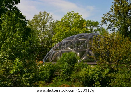 Geodesic dome made of glass amongst some trees