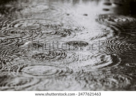 Similar – Image, Stock Photo Water drops rain on green plant leaves star-shaped